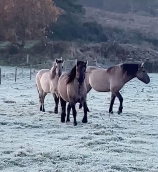 November 2024 Round-Up!