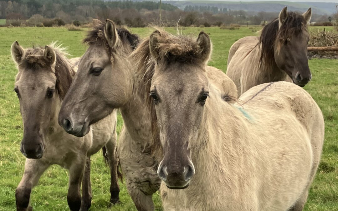 December 2024 Round-up