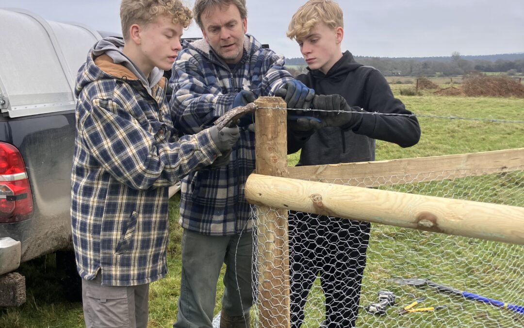 February 2025 Round-up